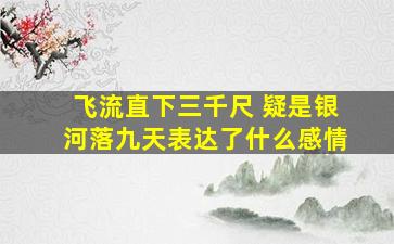 飞流直下三千尺 疑是银河落九天表达了什么感情